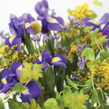 Įkelti vaizdą į galerijos rodinį, Puokštė „Žvaigždžių upė“