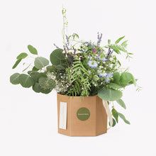 Įkelti vaizdą į galerijos rodinį, Gėlių krepšelis „Pašvaistės dangus“ - botanikas