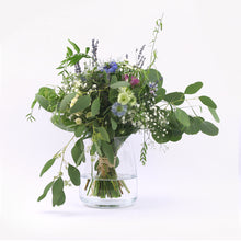 Įkelti vaizdą į galerijos rodinį, Gėlių krepšelis „Pašvaistės dangus“ - botanikas
