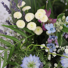Įkelti vaizdą į galerijos rodinį, Gėlių krepšelis „Pašvaistės dangus“ - botanikas
