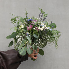 Įkelti vaizdą į galerijos rodinį, Gėlių krepšelis „Pašvaistės dangus“ - botanikas
