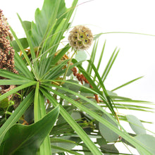 Įkelti vaizdą į galerijos rodinį, Puokštė „Amazonės džiunglės“ - botanikas