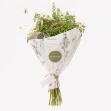 Įkelti vaizdą į galerijos rodinį, Puokštė „Ramunės laukuose“ - botanikas